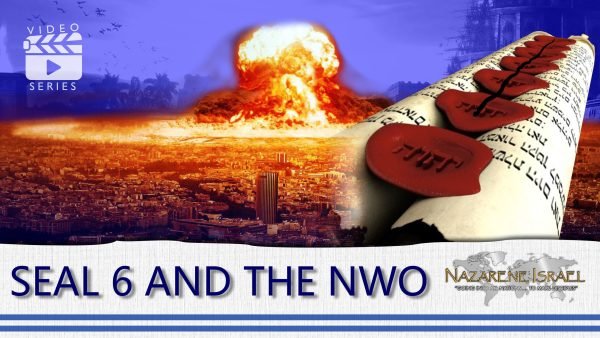 Seal 6 and the NWO