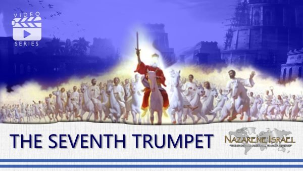 Trumpet 7