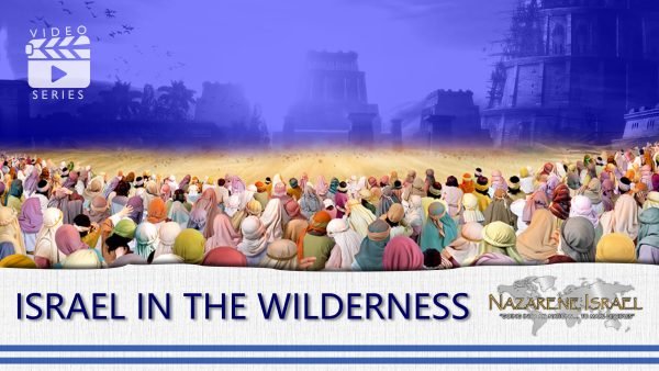 Israel in the Wilderness