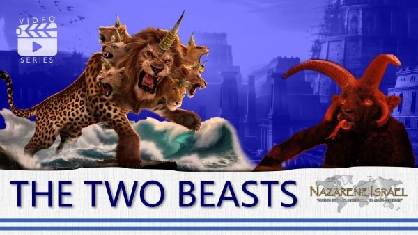The two beasts