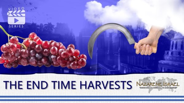 end time harvests