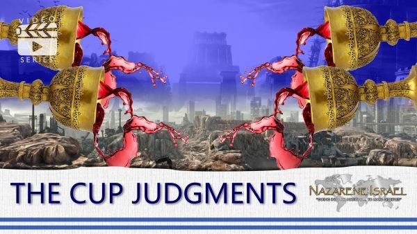 cup judgments