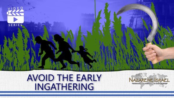 Avoid the Early Ingathering