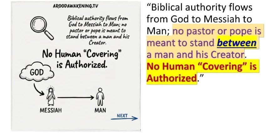 6 Rood Awakening no human covering
