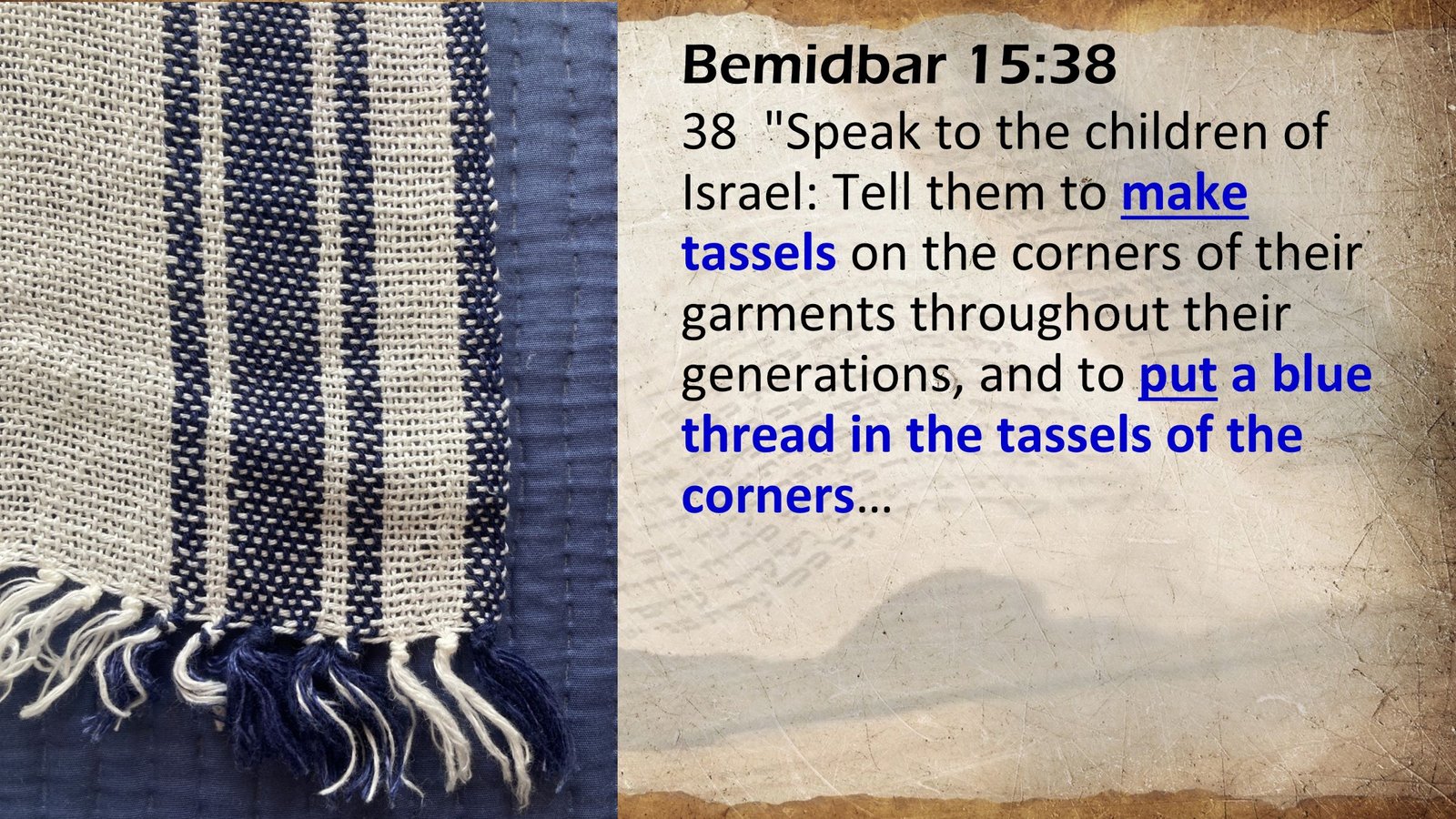 Tallit, tzitzit, snail dye, commandments, written Torah, tassels, Bemidbar 15