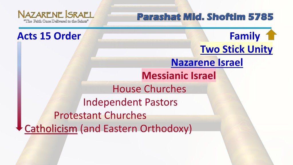 Acts-15-ladder-twostick-unity