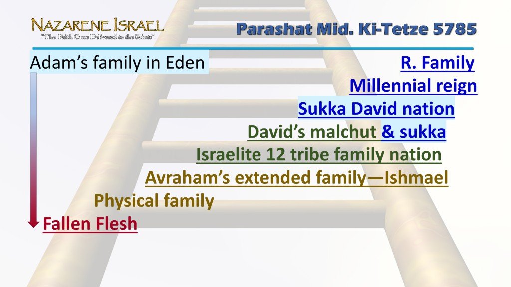 Adam-family-Sukka-David-nation