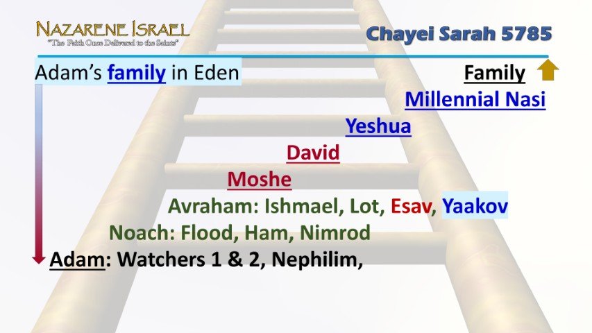 Adam ladder Watchers Nephilim Esav yaakov