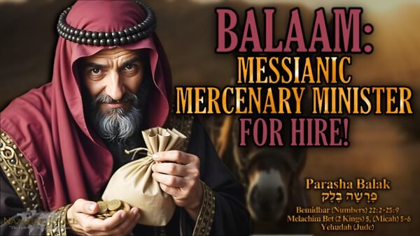 Parasha Balak 5785 (2024)