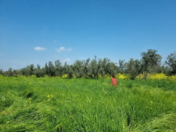 Yahweh's Feasts schedule 2023