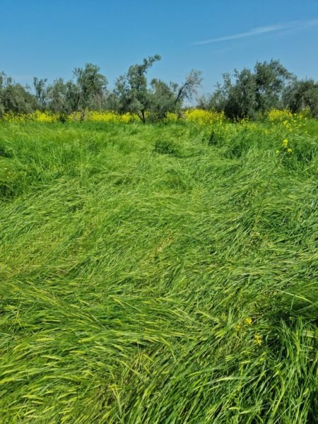 Torah Calendar News 2022