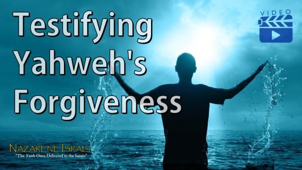 forgiveness