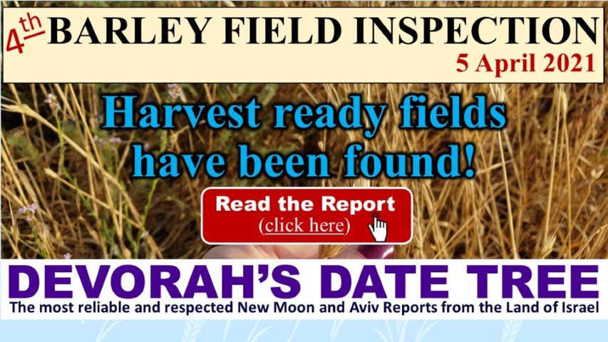 DDT 5 april 2021 harvest ready fields