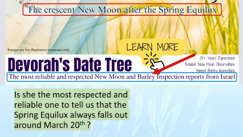 DDT most reliable source for spring equilus march 20th