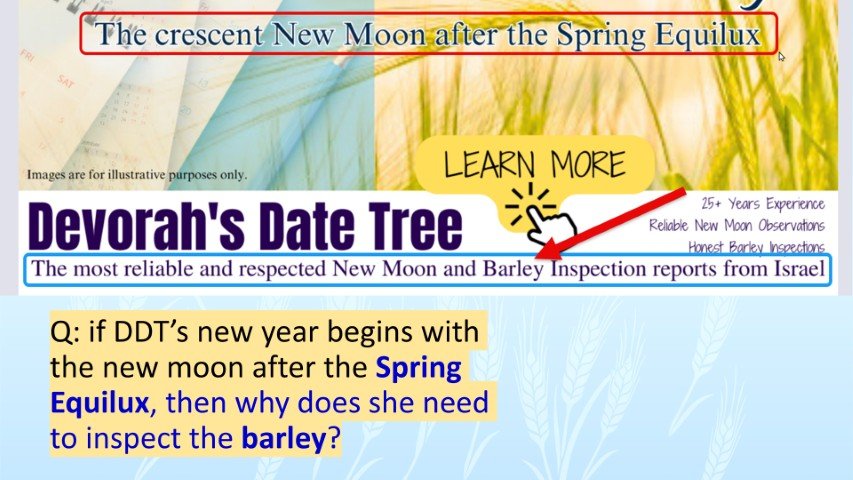 DDT spring equilux why inspect barley