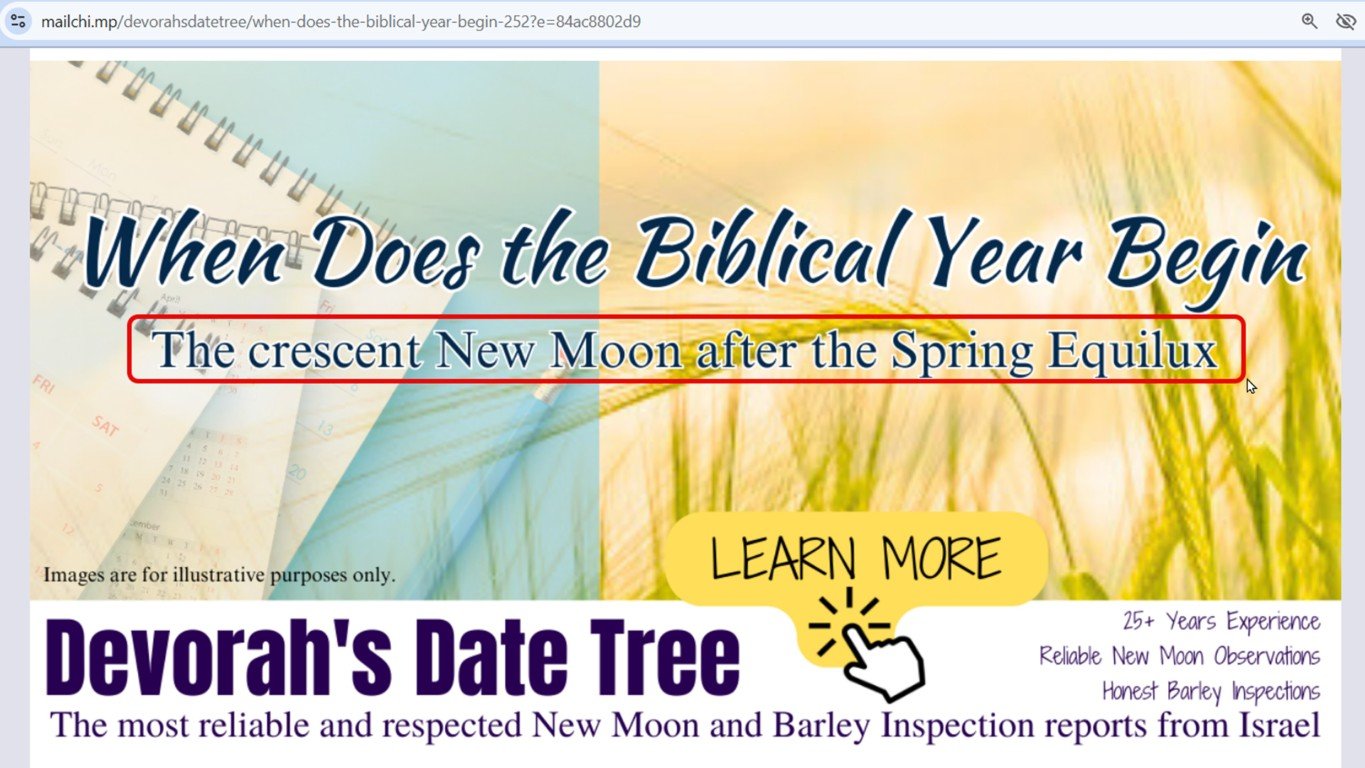 Devorah-Date-Tree-spring-equilux