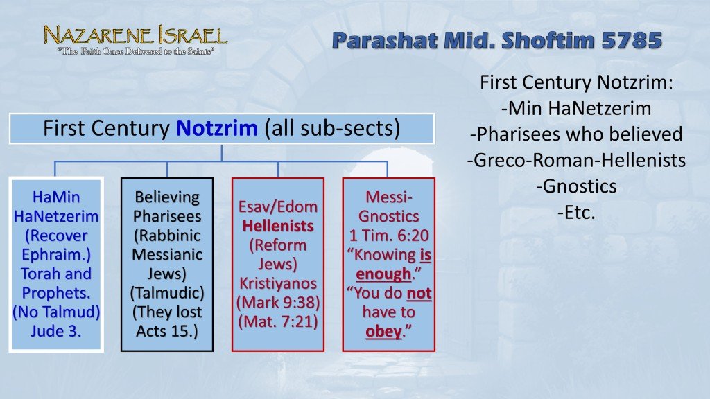 First-century-Notzrim-sub-sects