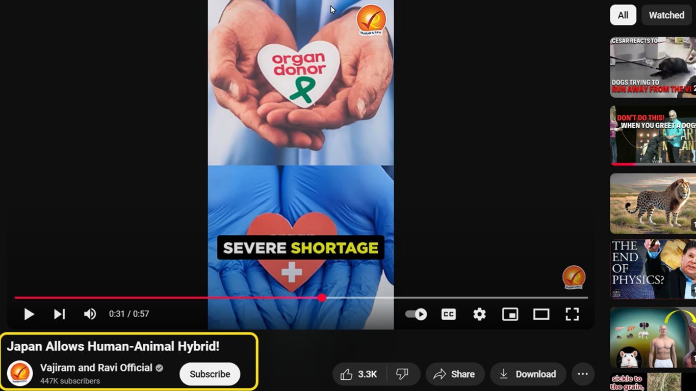 Japan Human Animal hybrid