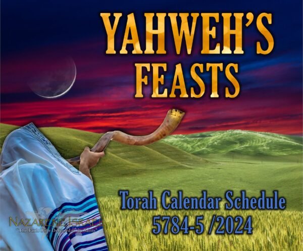 Rosh HaShanah 5784 / 2024