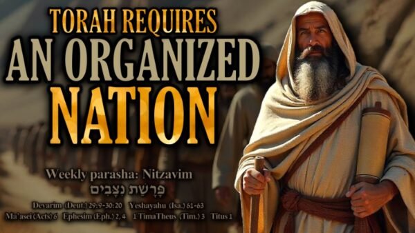 Parashat Nitzavim 5785 (2025), written Torah, Acts 15, Torah Government, Foundation of Apostles and Prophets, Biblical leadership