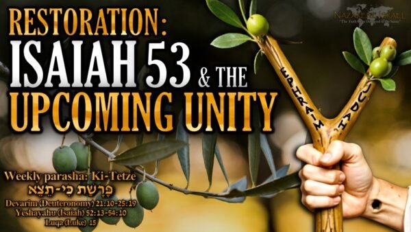 Parashat Ki Tetze 5785 (2024), Torah Government, Seven Consolations, written Torah of Moshe, Foundation of Apostles and Prophets, Acts 15 Order, Two Houses, Genesis 35 Alliance, Judah and Ephraim, Second Exodus