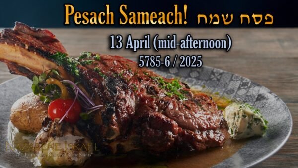Pesach 13 April 5785/2025