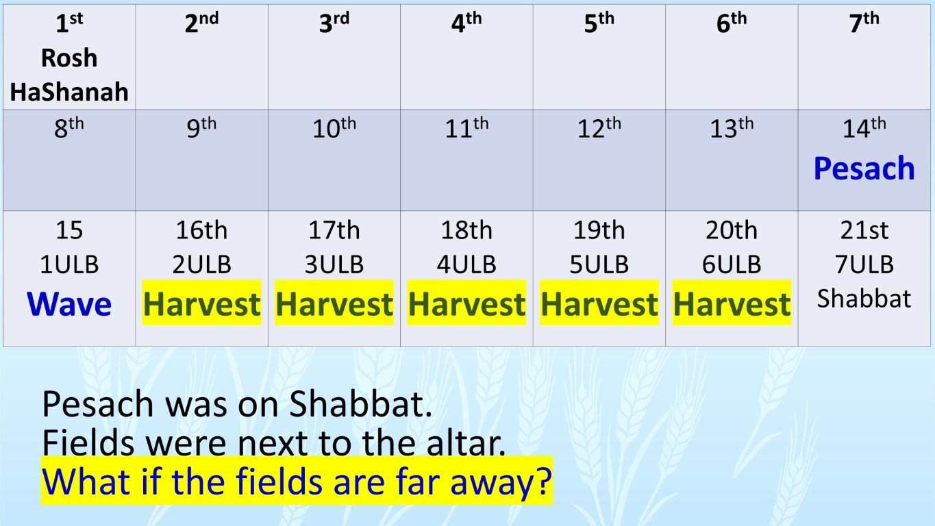 Pesach wave harvest