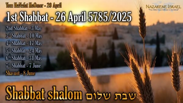 count to Shavuot, Shabbat 1, 26 April 5785/2025 English