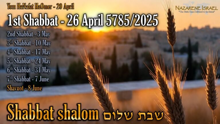 count to Shavuot, Shabbat 1, 26 April 5785/2025 English