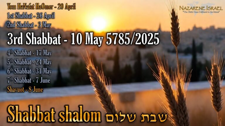 count to Shavuot, Shabbat 3, 10 May 5785/2025 English