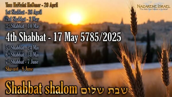 count to Shavuot, Shabbat 4, 17 May 5785 (2025) English