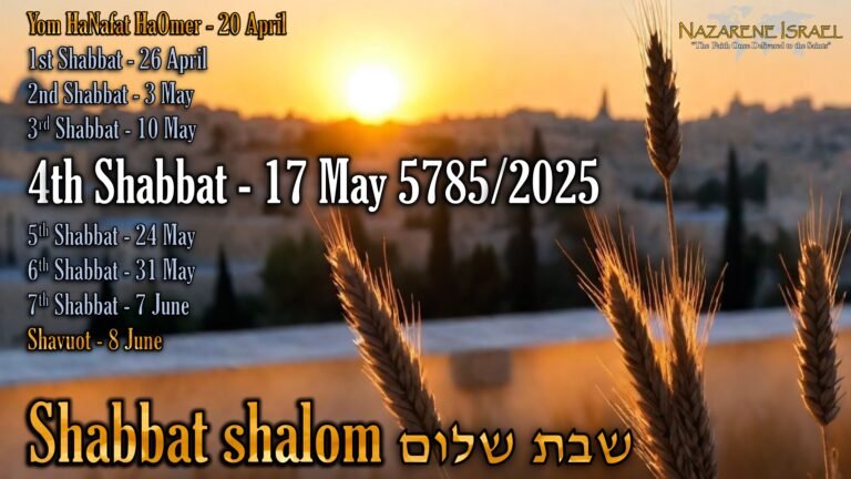 count to Shavuot, Shabbat 4, 17 May 5785 (2025) English