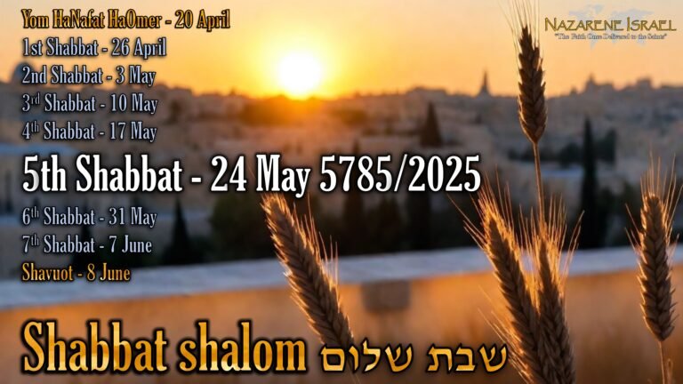 count to Shavuot, Shabbat 5, 24 May 5785 (2025) English