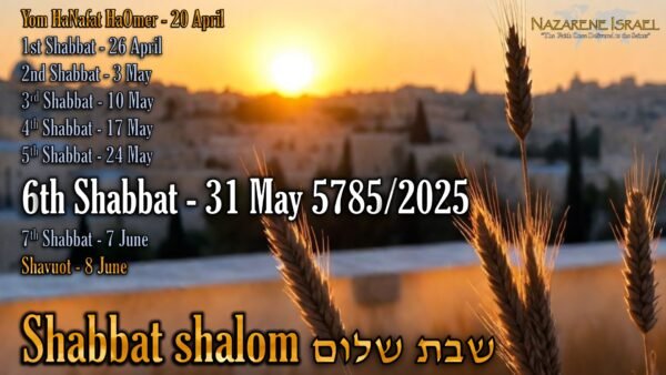count to Shavuot, Shabbat 6, 31 May 5785 (2025) English