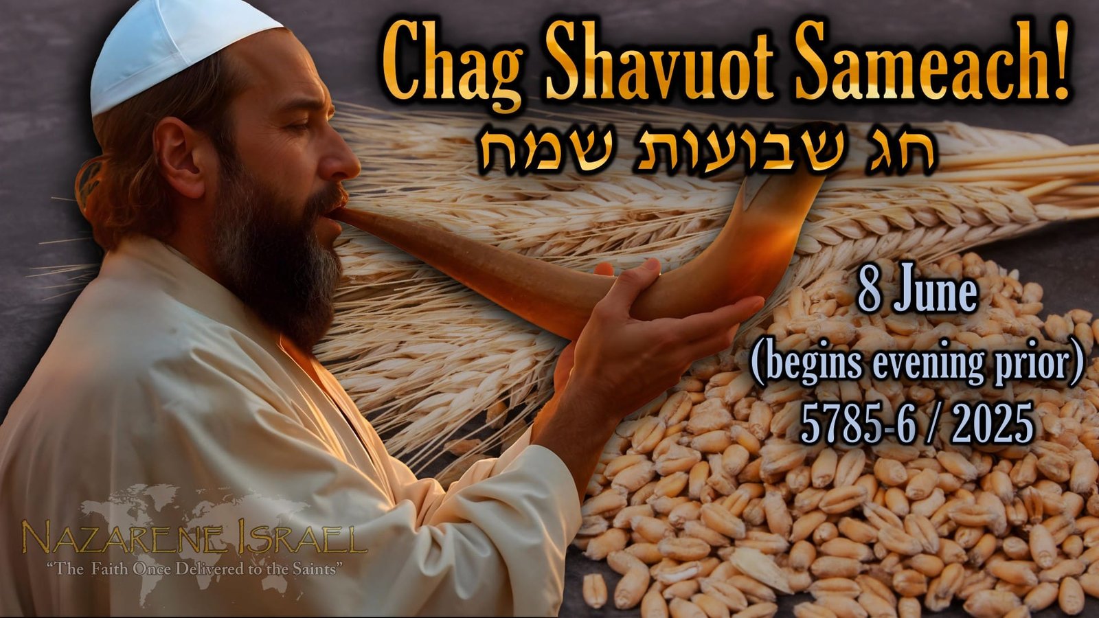 Shavuot June 8 5785 (2025), seventh Shabbat count June 7 5785 (2025), Pentecost, Yahweh's feasts. Biblical feasts, aviv barley