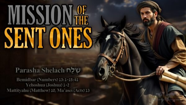 Parasha Shelach 5785, Shelachim, sent ones, spies of Israel, great commission, house of Joseph