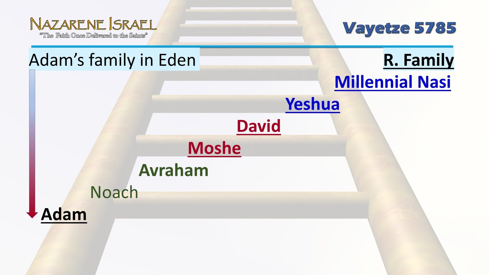 adam's ladder R. Family