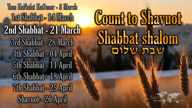 21 March 5786/2026, Count to Shavuot, Shabbat 2