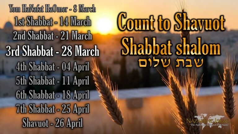 28 March 5786/2026, Count to Shavuot, Shabbat 3