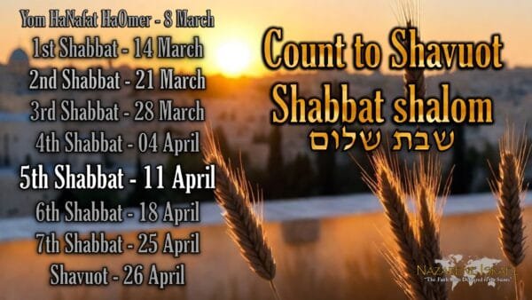 11 April 5786/2026, Count to Shavuot, Shabbat 5