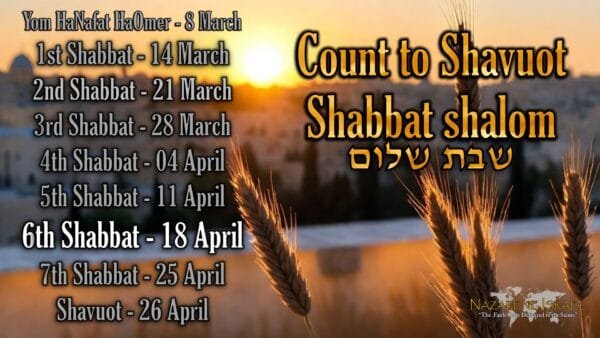 18 April 5786/2026, Count to Shavuot, Shabbat 6