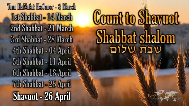25 April 5786/2026 is the 7th Shabbat count up to Shavuot. Shavuot (Pentecost) is on 26 April.