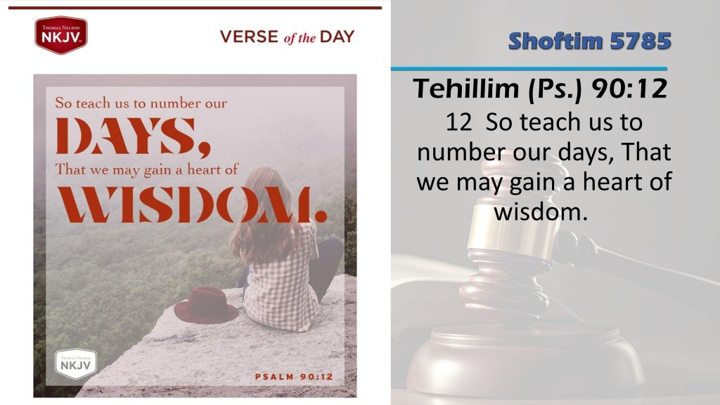 Tehillim-90-Days-Wisdom