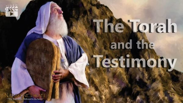 the Torah and the Testimony
