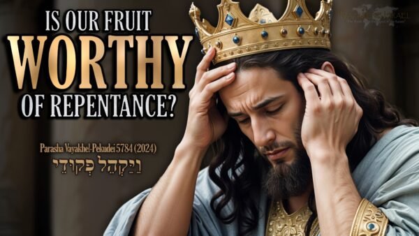 Parasha Vayakhel Pekudei 5784, Genesis 35 Alliance, Abraham Accords, King Josiah, Fruit worthy of repentance, Two Houses, written Torah