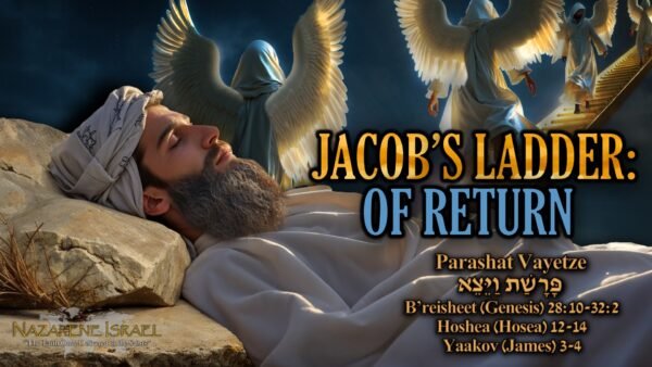 Parashat Vayetze 5785 (2025), Jacob's ladder