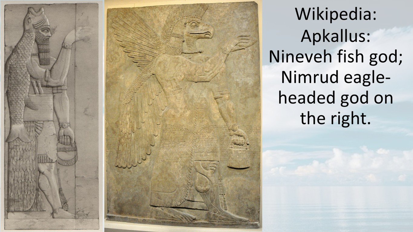 Wiki-Apkallus Nineveh fish god-nimrud eagle-headed god