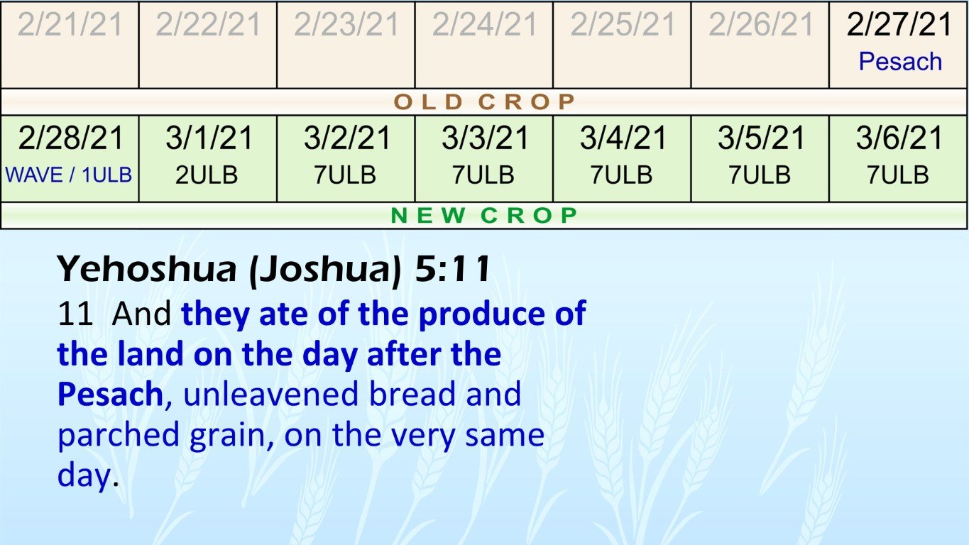 Yehoshua-Joshua-5-11-chart-NI