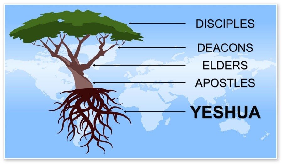 Yeshua tree, foundation of apostles and prophets, order and organization, chief cornerstone