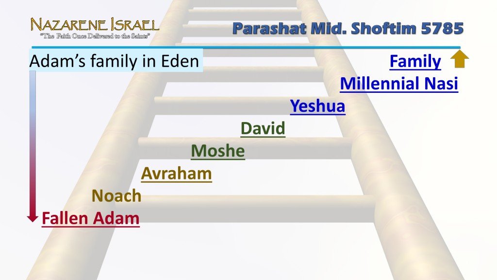 adam-family-millenial-nasi